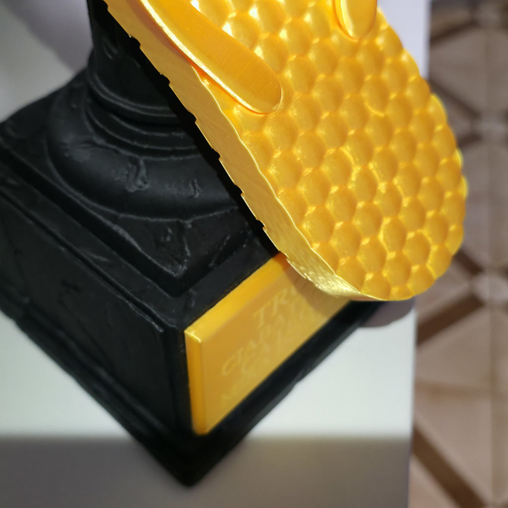 🩴 Trofeo "La Ciabatta d’Oro" – Premio alla Mamma dell’Anno!