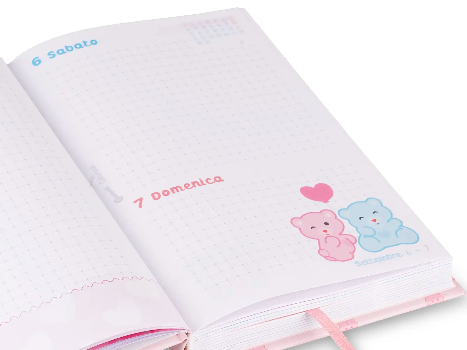 Diario scuola Coccolotti 2025/2026 - SKY